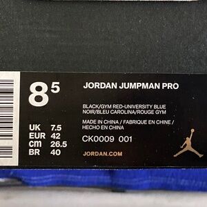 Jordan Jumpman Pro Shoes
